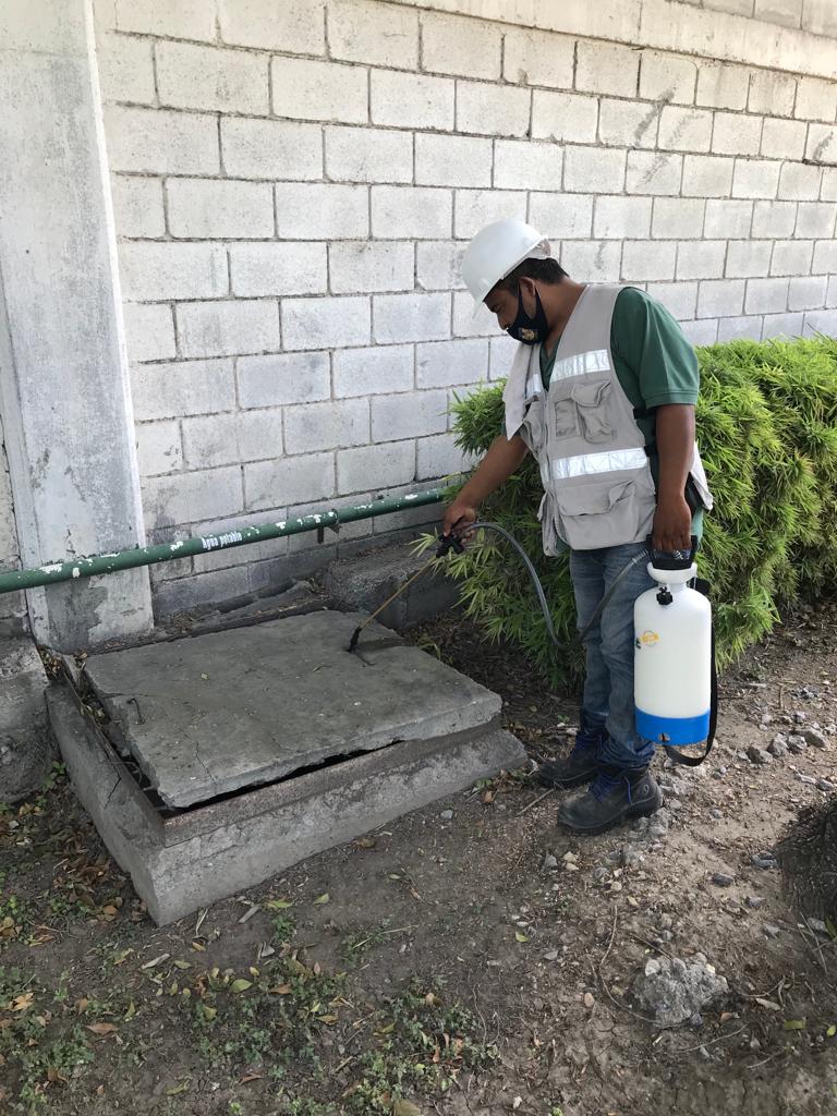 Fumigación_17
